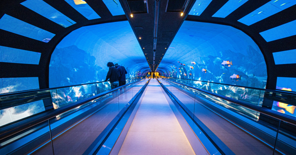 Um dos projetos mais incríveis já vistos, o Túnel de LED no Shopping Cidade Jardim